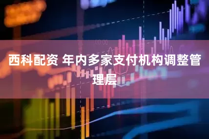 西科配资 年内多家支付机构调整管理层
