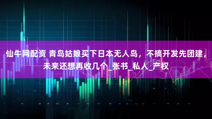 仙牛网配资 青岛姑娘买下日本无人岛，不搞开发先团建，未来还想再收几个_张书_私人_产权