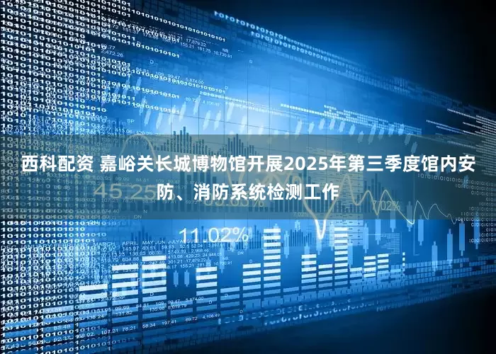 西科配资 嘉峪关长城博物馆开展2025年第三季度馆内安防、消防系统检测工作